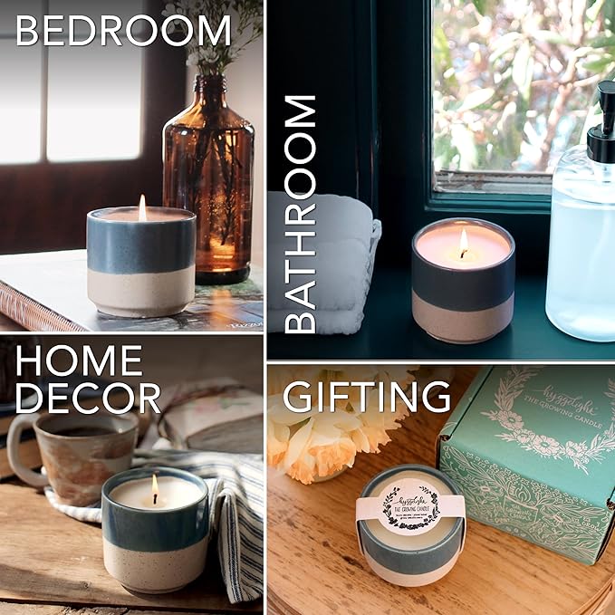 Hyggelight - The Growing Candle, Wild Flower Scented, 8.5oz Ceramic Pot, Single Wick Aromatherapy Candles, 100% Soy for Women and Men, Willow