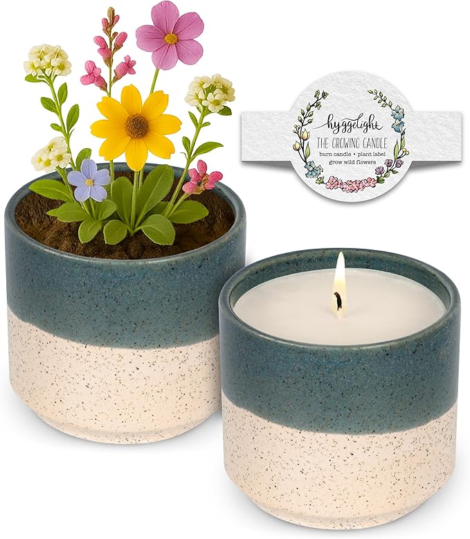 Hyggelight - The Growing Candle, Wild Flower Scented, 8.5oz Ceramic Pot, Single Wick Aromatherapy Candles, 100% Soy for Women and Men, Willow