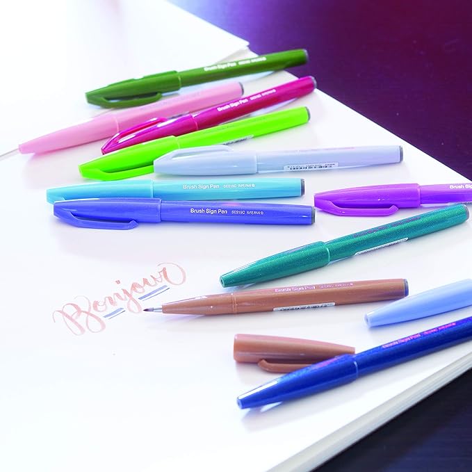Pentel Arts Sign Pen Brush Tip, Assorted Colors, 12 Pack Box (SES15C2PC12)