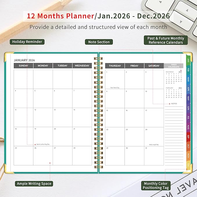 2026 Appointment Book/Planner - 2026 Daily Hourly Planner from Jan. 2026 - Dec. 2026, Weekly appointment Book 2026, 2026 Hourly planner with 20-Minute Interval, 9" x 11", Twin-Wire Binding, Colorful Tabs, Pocket -Aquamarine