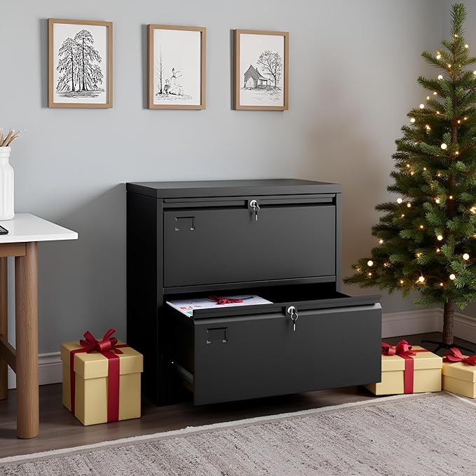 SUXXAN 2 Drawer File Cabinet, Lateral Filing Cabinet with 2 Locks for Home Office, Black File Cabinets with Business Card Holder for Letter/Legal/F4/A4 Hanging Files