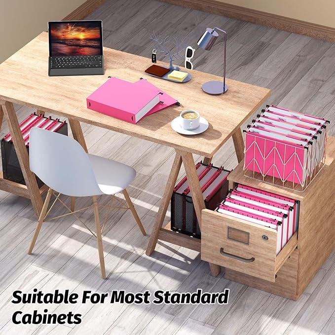 Extra Capacity Plastic Hanging File Folders,12 Pack Reinforced Hang Folders,Heavy Duty 2 Inch Expansion,Plastic Filing Cabinet Folders,Letter Size,Designed for Bulk Files, Medical Charts,Pink