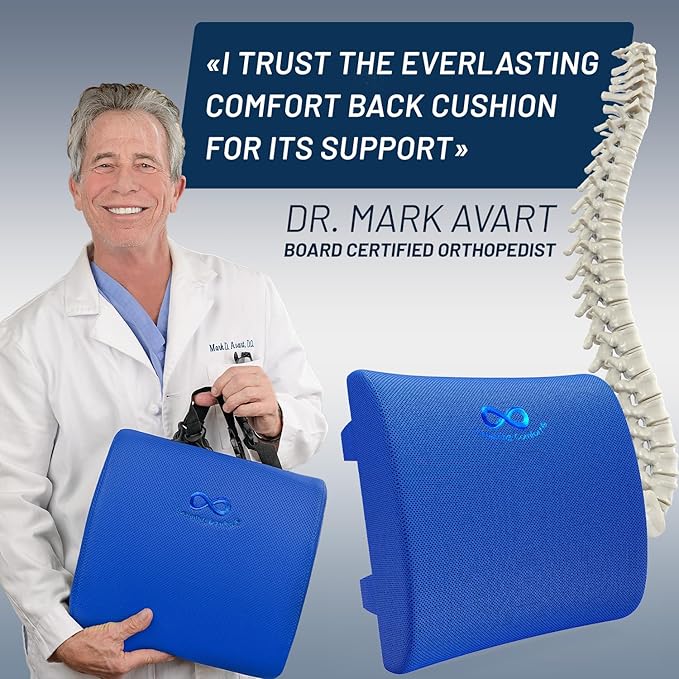 Everlasting Comfort Lumbar Support Pillow for Office Chair - Memory Foam Back Cushion for Car Seat - Promotes Better Posture, Back Pain Relief - Ideal Gaming and Desk Chairs Work and Home Essentials