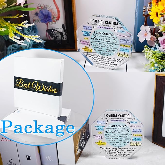 Ewong Things I Can Control Mental Health Decor, Acrylic Sign for Therapist Office, School Counselor, Psychologist Room Art Decoration, Therapy Desk Plaque for Bedroom Classroom (Octagon-Light cyan)