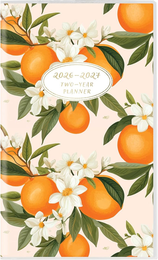 Graphique 2 Year Pocket Planner | 29 Month Organizer, Aug. 2025 – Dec. 2027 | Monthly Calendar & Notes Spreads | Marked Holidays | Elegant Pattern | 3.75” x 6"