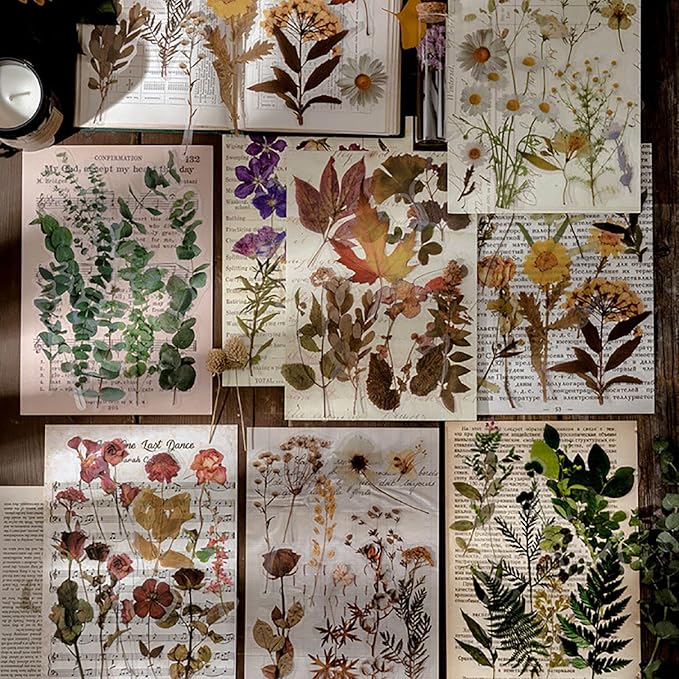 Maxleaf Botanic Series Sticker, 80PCS Large Dried Flowers Waterproof Transparent Stickers, PET Nature Plant Floral Stickers for Journaling Scrapbooking, Clear Flower Decals