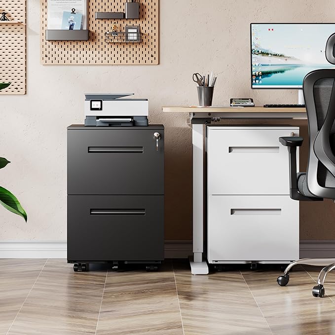 DEVAISE 2-Drawer Metal File Cabinet with Lock, Mobile Filing Cabinet Under Desk for Home Office, Fully Assembled Printer Stand fits F4/A4/Letter/Legal Size, Black, 20" D x 15" W x 27" H