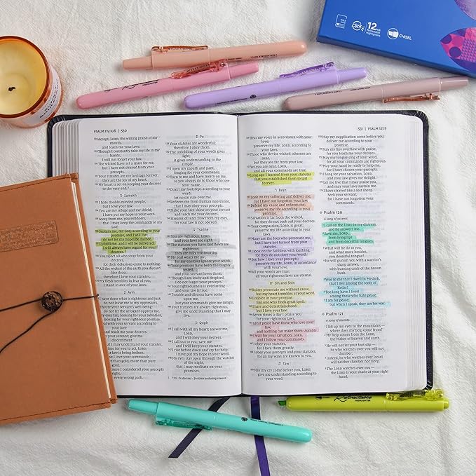 WRITECH Retractable Bible Highlighters Assorted: Pastel Colors No Bleed Aesthetic Marker Pen Chisel Tip, 12 Pack