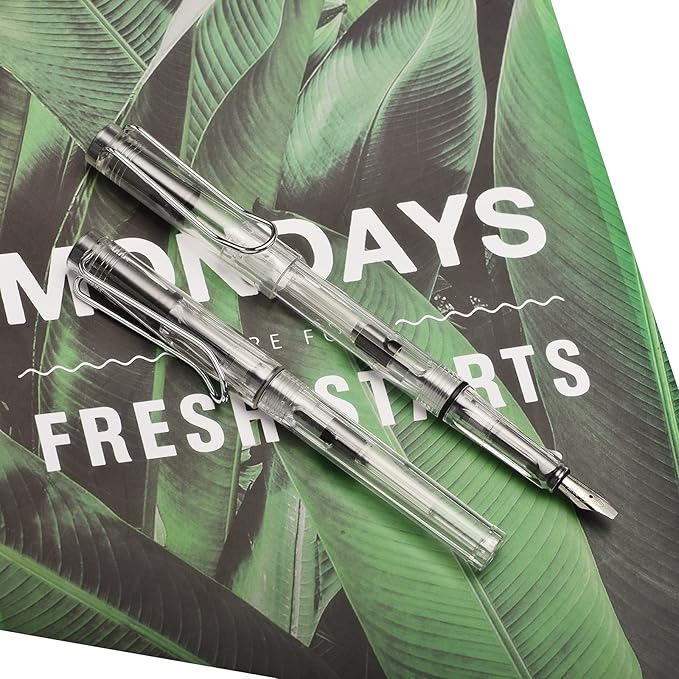 Lanxivi Yongsheng Calligraphy Fountain Pen Set Transparent Clear, 6 Assorted Tip Sizes for Art Drawing and Writing Signature