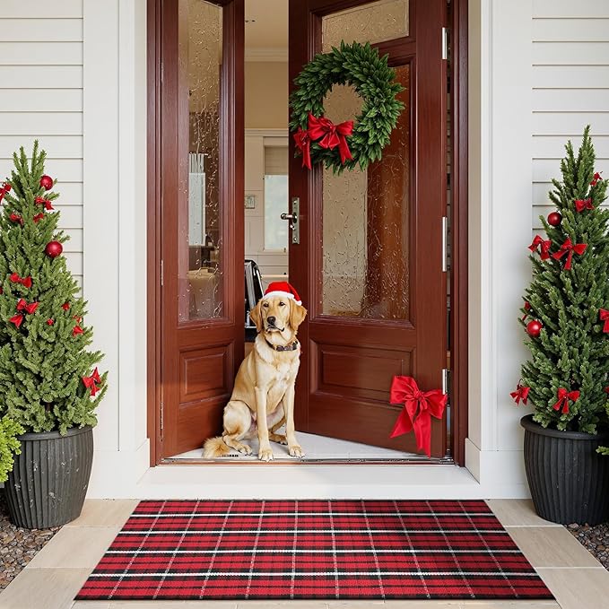 Buffalo Plaid Outdoor Rug Runner 24"x 51",Christmas Washable Checkered Front Door Mat, Cotton Woven Winter Indoor Floor Rugs for Porch Entryway Kitchen Holiday Decor(Black and Red)