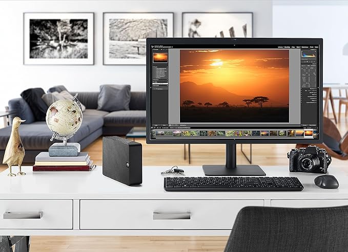 Seagate Expansion 24 TB External Hard Drive HDD - USB 3.0, with Rescue Data Recovery Services (STKP24000400)