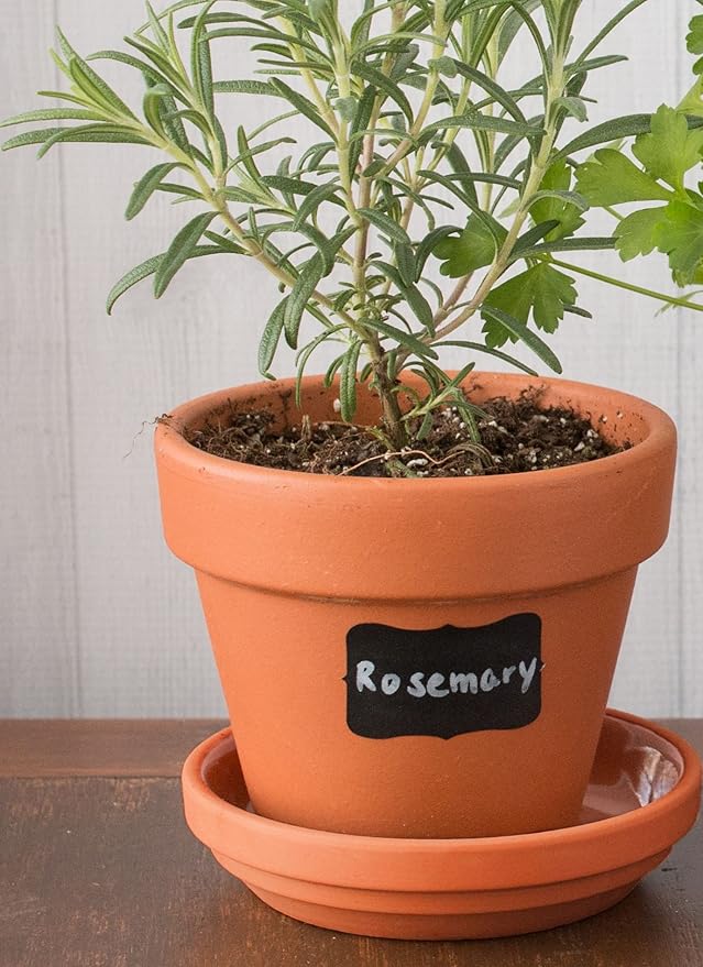 Cestari Chalk Pen Set | Bold White Liquid Chalk Marker with 2mm Fine Tip for Writing and Drawing | Erasable Chalkboard Label Chalk Paint Pen | Organizing, Parties, Spices, Weddings, Crafts | 2 pack