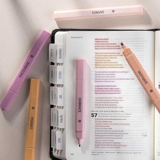 DIVERSEBEE Bible Highlighters Assorted Colors, 5 Pack No Bleed Dual Tip Aesthetic Pastel Highlighter Pens for Journaling, Note Taking, School, Bible Study Supplies and Accessories (Rose)