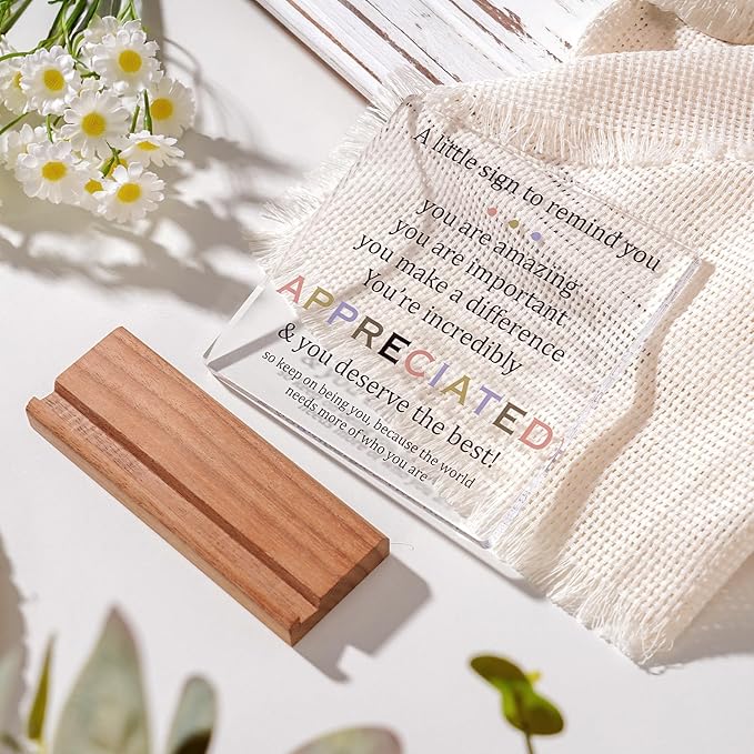 Appreciation Gifts for Coworkers Social Worker Employee - Inspirational Desk Decor for Women Men Motivational Sign Thank You Gift Ideas Coworkers Leaving Going Away Retirement Gifts Office Decor