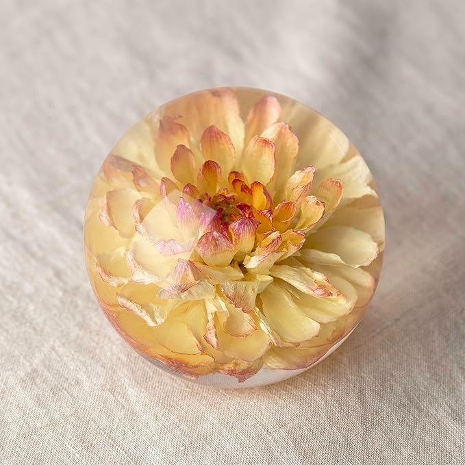 Real Yellow Dahlia Paperweight - Home Decor Crystal Resin Ball 3.14in (80mm) - Clear Resin Yellow Dahlia Flower Globe for Special Days - Sphere Figurine Office Paperweight w/Flat Bottom