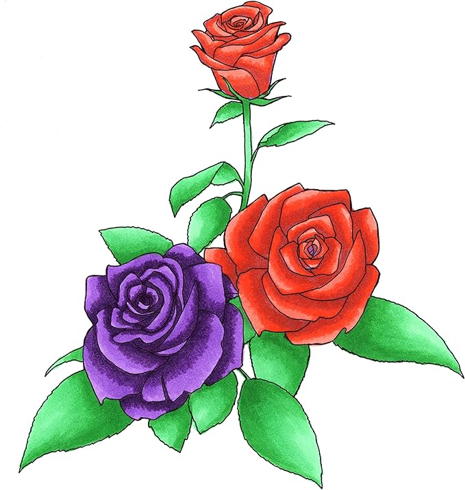 Copic Sketch Alcohol Markers, 6 Color Dual Tip Art Marker Set – Blendable Brush Tips for Drawing, Sketching, and Illustration – Professional Set for Adults/Teen Artists & Creators - Secondary Tones