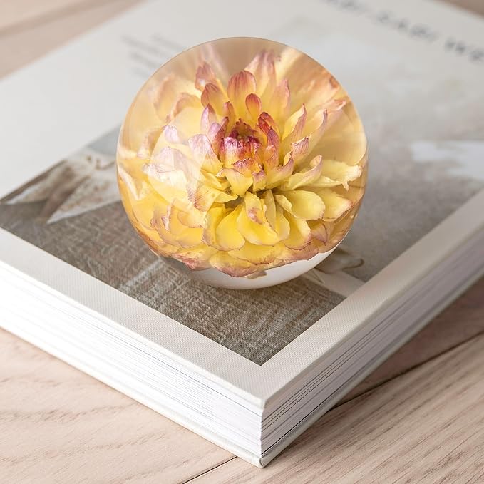 Real Yellow Dahlia Paperweight - Home Decor Crystal Resin Ball 3.14in (80mm) - Clear Resin Yellow Dahlia Flower Globe for Special Days - Sphere Figurine Office Paperweight w/Flat Bottom