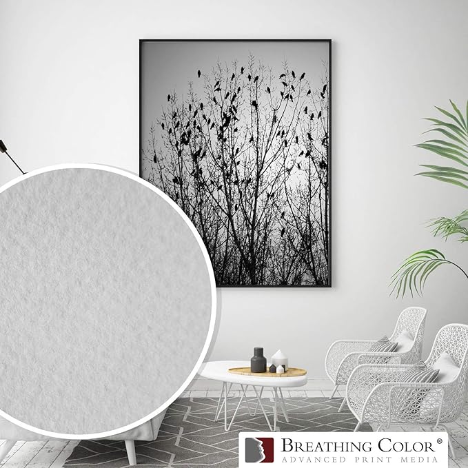 Elegance Velvet 8.5 in x 11 in, 25 Sheets is a Premium Matte 310 gsm, Cold Pressed Bright White Museum Grade Fine Art Inkjet Paper, Compatible with Most Dye-Based and Pigment Printers