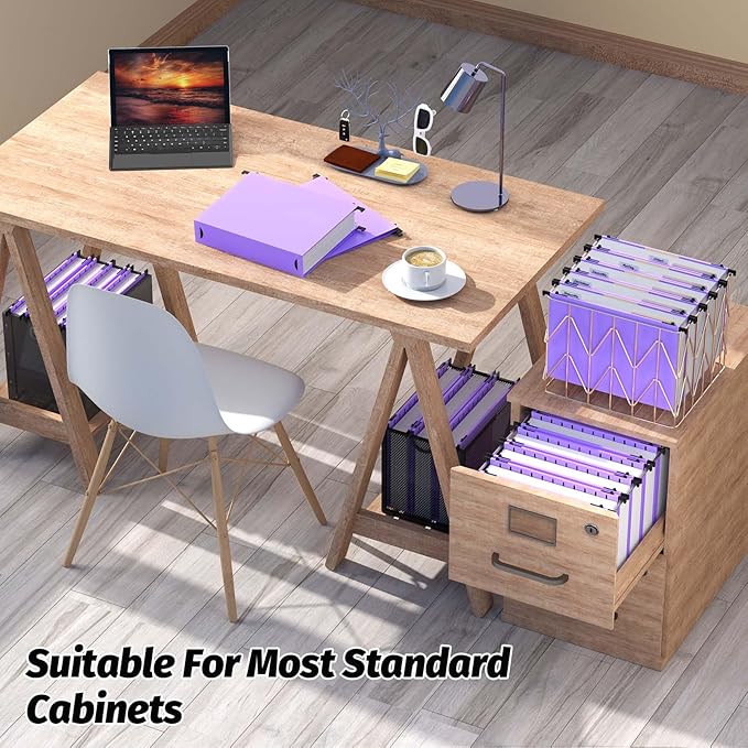 Extra Capacity Plastic Hanging File Folders,12 Pack Reinforced Hang Folders,Heavy Duty 2 Inch Expansion,Plastic Filing Cabinet Folders,Letter Size,Designed for Bulk Files, Medical Charts,Purple