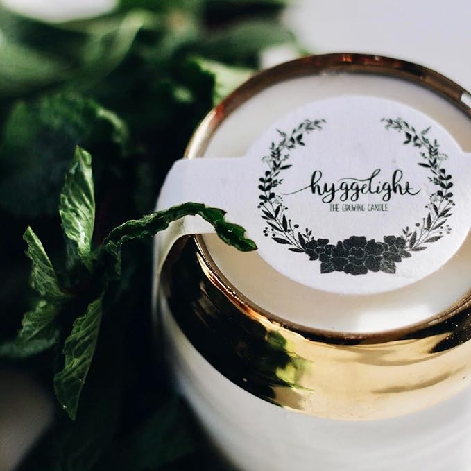 Hyggelight - The Growing Candle, Mint & Eucalyptus Scented, 10oz Ceramic Pot, Aromatherapy Candles, 100% Soy, Clara