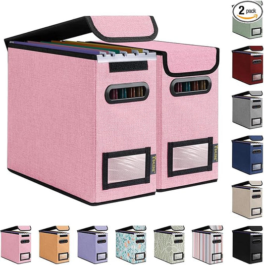 BALEINE File Organizer Box with Lid, Collapsible File Folder Organizer with Plastic Slide, Hanging File Folder Box for Office Document Storage (2 Pack, Pink, S)