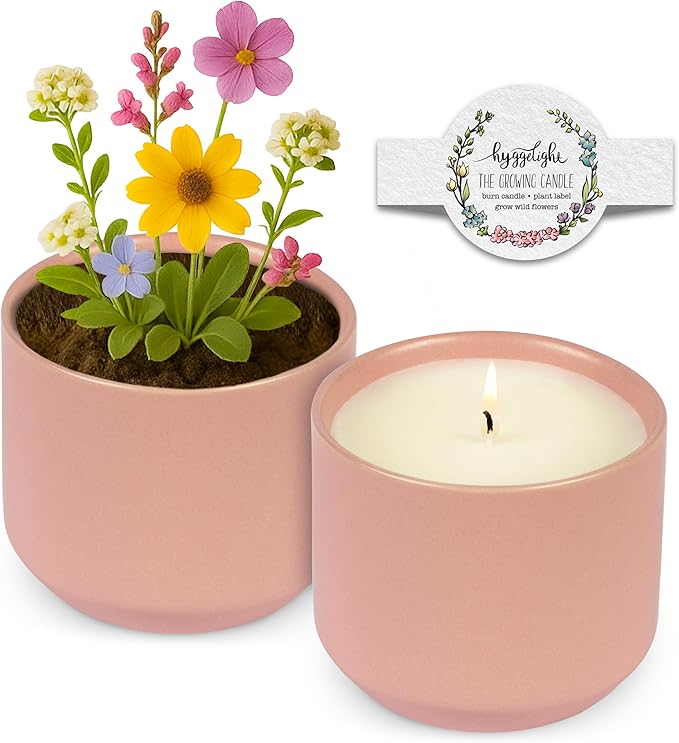 Hyggelight - The Growing Candle, Chai Scented, 8oz Ceramic Pot, Aromatherapy Candles for Home, 100% Soy, Adelyn