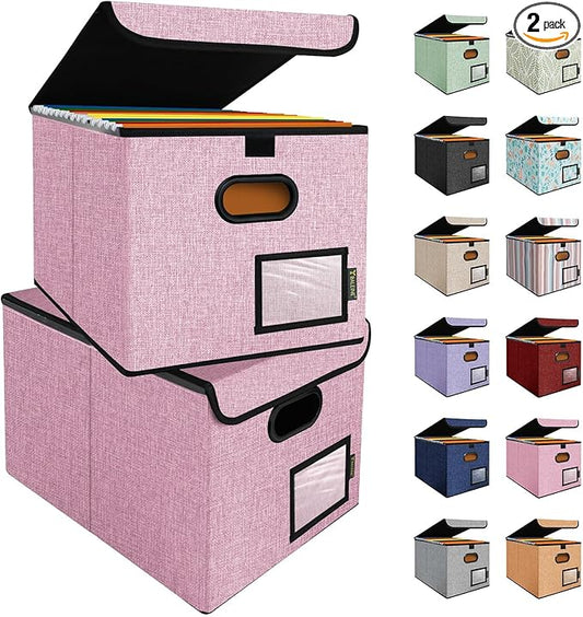 BALEINE File Organizer Box with Lid, Collapsible File Folder Organizer with Plastic Slide, Hanging File Folder Box for Office Document Storage (2 Pack, Pink)