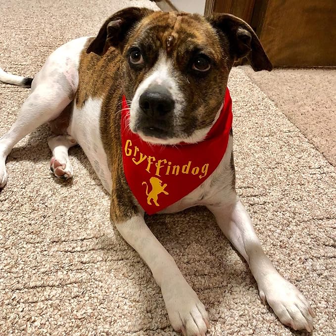 VINYL FROG Heat Transfer Vinyl Roll HTV Vinyl - 12" x12ft Yellow Iron on Vinyl for T-Shirts, Heat Press Vinyl for DIY Craft Designs (Yellow)