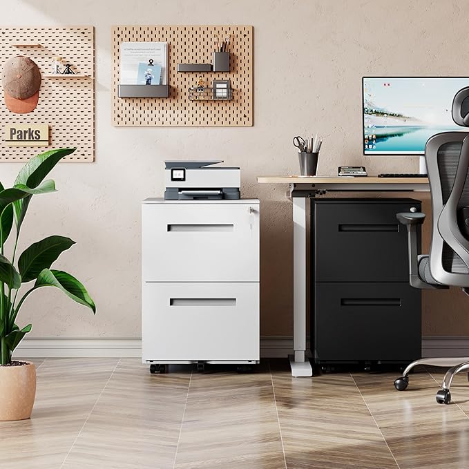 DEVAISE 2-Drawer Metal File Cabinet with Lock, Mobile Filing Cabinet Under Desk for Home Office, Fully Assembled Printer Stand fits F4/A4/Letter/Legal Size, White, 20" D x 15" W x 27" H