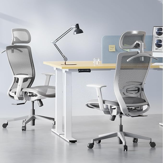 FLEXISPOT OC3 Air Ergonomic Office Chair Mesh Back Swivel Computer Chair Executive Office Desk Chairs with Adjustable Lumbar Support/2D Headrest/Lockable Backrest, Mesh Seat Cushion, Light Gray