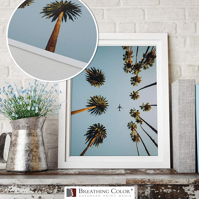 Vibrance Matte Photo Printer Paper 12 mil 230 gsm Matte Finish Premium Photo Paper Roll on 3in Core 17 inches x 100 ft Works with Most Inkjet Printer Professional Makes and Models Like Epson Canon HP