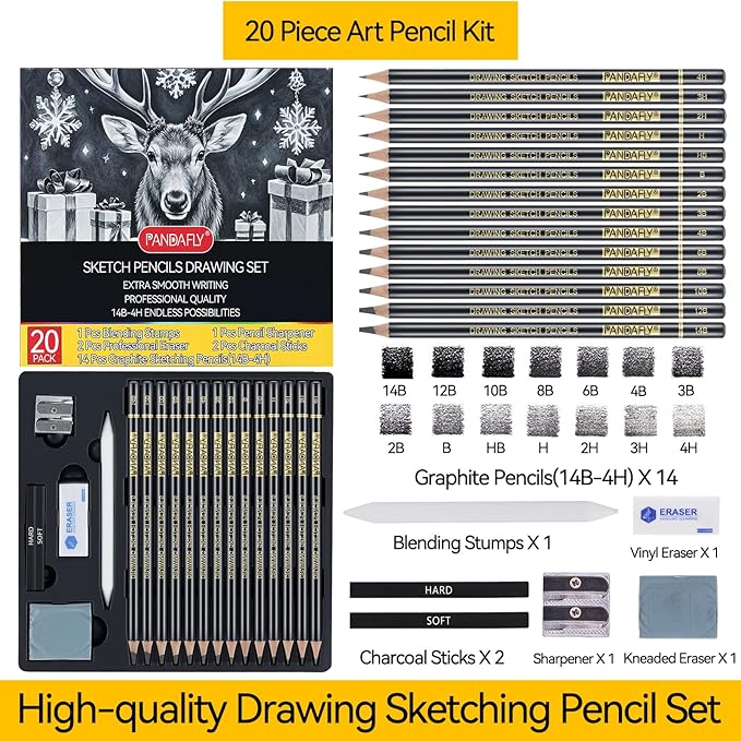 PANDAFLY 20-Piece Professional Sketch Pencil Set - Includes 4H to 14B Graphite Pencils, Charcoal Sticks, Vinyl Eraser, Kneaded Eraser, Sharpener, Blending Stump - Ideal for Artists and Beginners