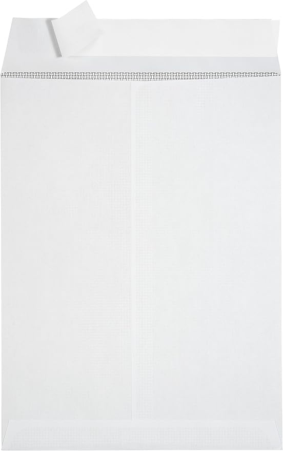 100 9 X 12 Self Seal Security Catalog Envelopes - Designed for Secure Mailing - Securely Holds up to 60 Sheets of Paper with Strong Peel and Seal Flap (100 Envelopes)