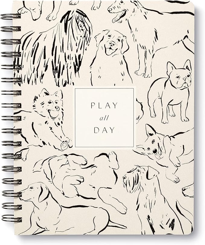 Compendium Spiral Notebook - Play All Day — A Designer Spiral Notebook with 192 Lined Pages, College Ruled, 7.5”W x 9.25”H