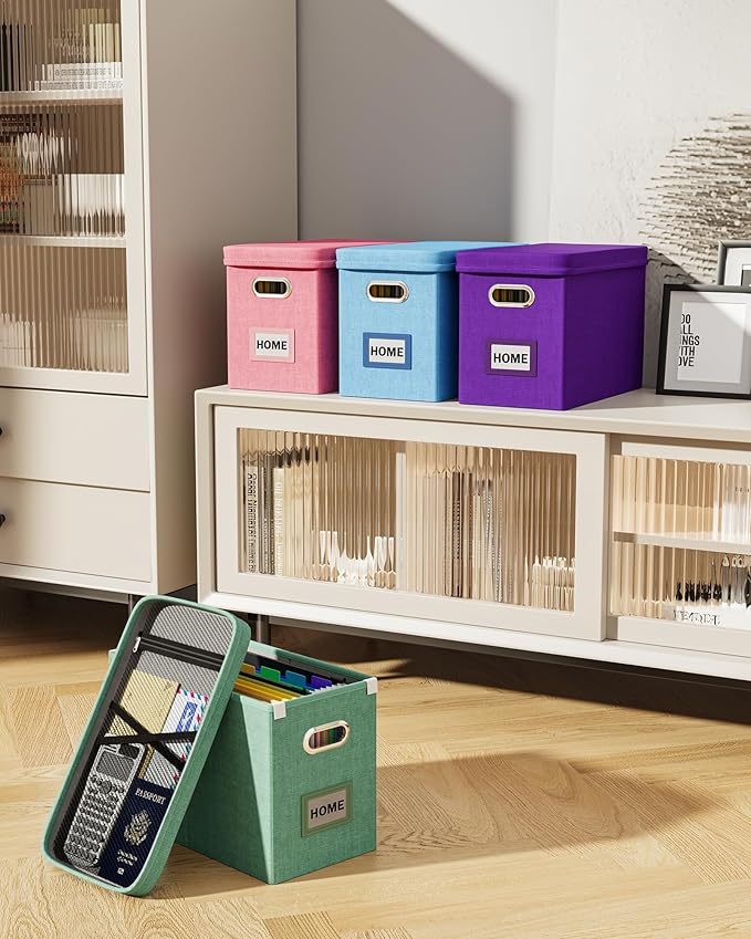 Oterri File Organizer Box with Lid, Hanging Filing File Box with Mesh Pocket, Document Organizer Box for Letter Files, Portable Storage Box with Smooth Sliding Rail for Office&Home (2 PCS, Sky-blue)