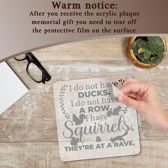 Funny Office Home Work Gifts for Coworkers, I Do Not Have Ducks Acrylic Decorative Sign, Humorous Hilarious Gifts for Employees, Boss, Friend