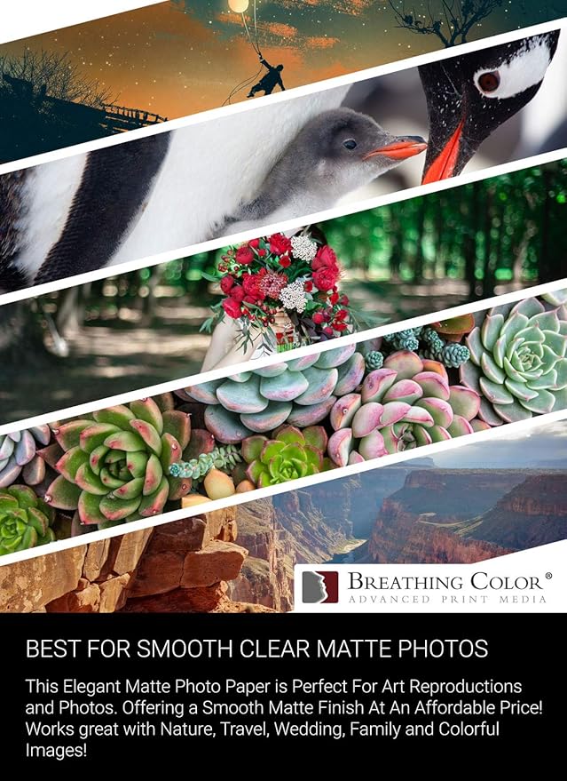 Vibrance Matte Photo Printer Paper 12 mil 230 gsm Matte Finish Premium Photo Paper Roll on 3in Core 10 inches x 100 ft Works with Most Inkjet Printer Professional Makes and Models Like Epson Canon HP