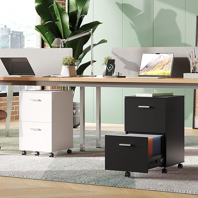 DEVAISE 2 Drawer File Cabinet, Mobile Printer Stand, Wood Filing Cabinet fits A4 or Letter Size for Home Office, Black
