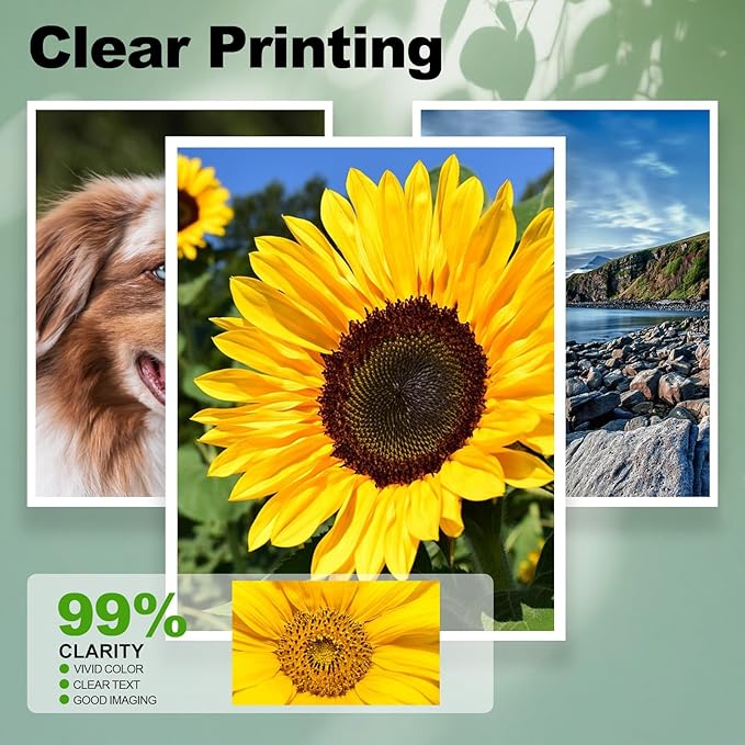 952XL Ink Cartridges Black Tri-Color Combo Compatible Replacement Work with HP OfficeJet Pro 7720 7740 8200 8210 8216 8218 8700 8710 8714 8715 8716 8717 8720 8724 8725 8726 Printer(4 Pack, BCMY)