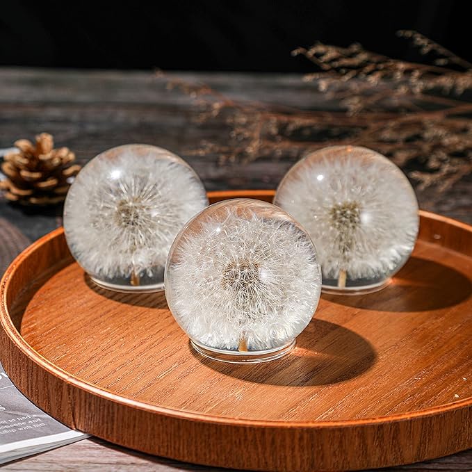 Dandelion Paperweight – Real Dandelion in Crystal Glass Ball, Unique Gift & Home Office Decor, Symbol of Luck, Hope, and Wishes for Birthday, Graduation, Wedding
