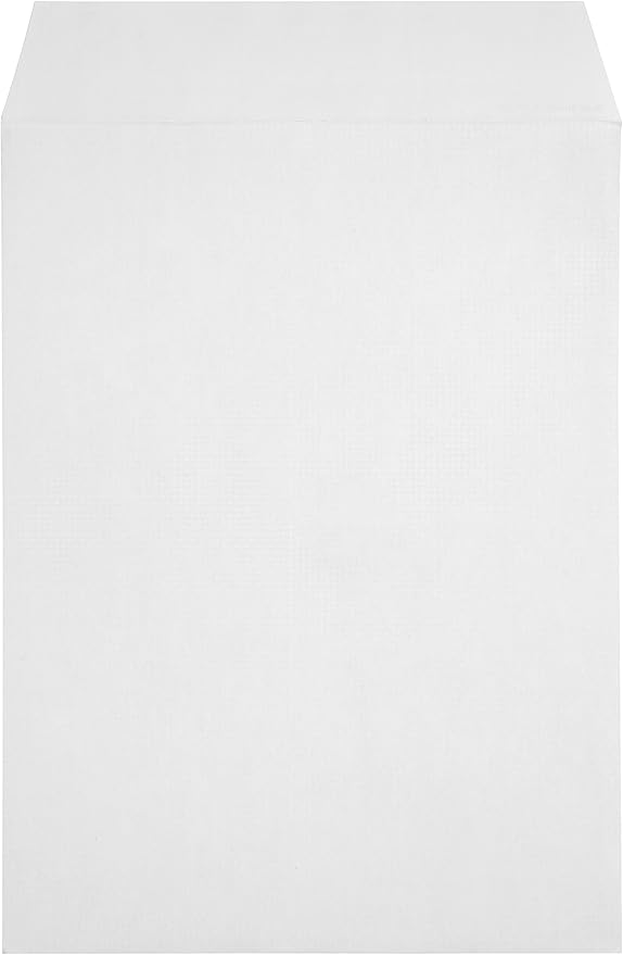 100 9 X 12 Self Seal Security Catalog Envelopes - Designed for Secure Mailing - Securely Holds up to 60 Sheets of Paper with Strong Peel and Seal Flap (100 Envelopes)