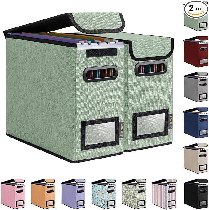 BALEINE File Organizer Box with Lid, Collapsible File Folder Organizer with Plastic Slide, Hanging File Folder Box for Office Document Storage (2 Pack, Green, S)
