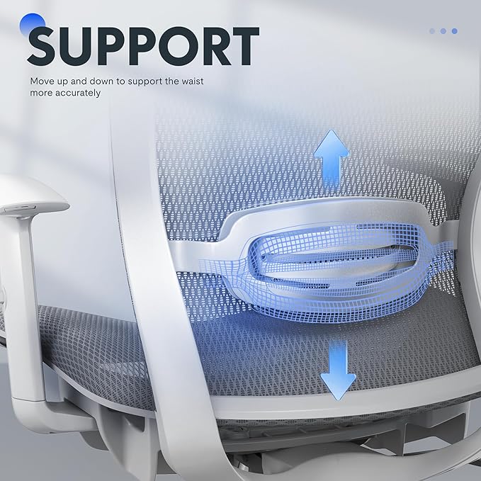 FLEXISPOT OC3 Air Ergonomic Office Chair Mesh Back Swivel Computer Chair Executive Office Desk Chairs with Adjustable Lumbar Support/2D Headrest/Lockable Backrest, Mesh Seat Cushion, Light Gray