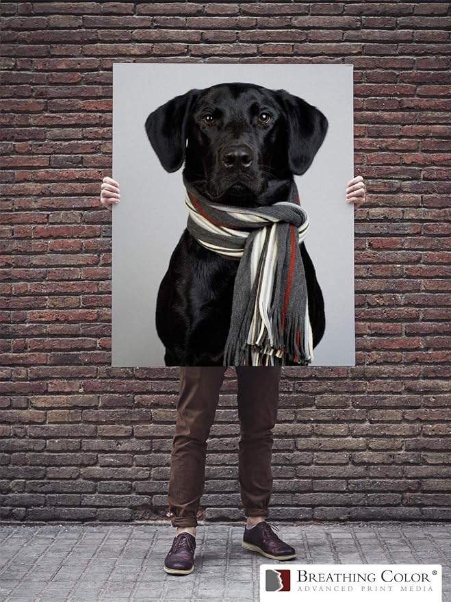 Premium Lyve Matte Canvas Paper Perfect for Use on Professional Makes and Models of Epson, Canon and HP Printers Preferred by Professionals. 19 mil Textured Canvas Offered in a 44 inch by 40 ft roll