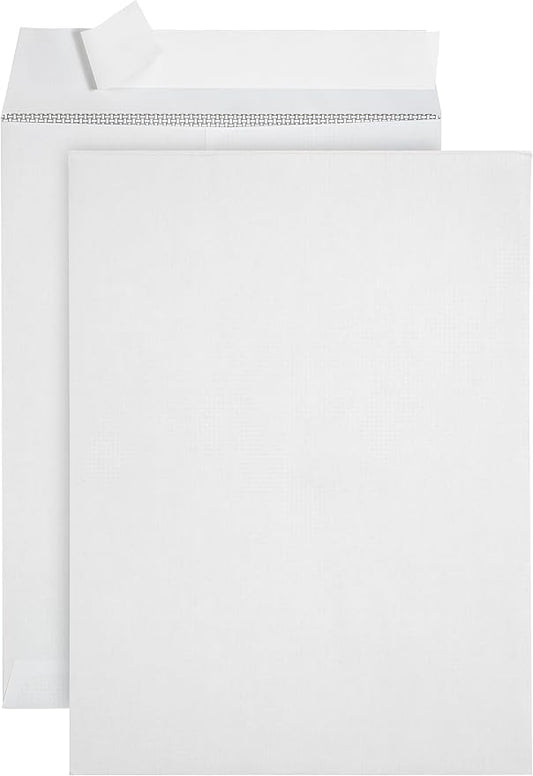 250 6 X 9 Self Seal Security Catalog Envelopes, Designed for Secure Mailing, Securely Holds Small Booklets, Catalogs, Cards, or Brochures with Strong Peel and Seal Flap, 250 Envelopes