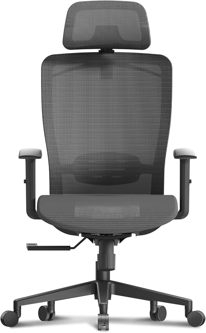 FLEXISPOT Ergonomic Office Chair, High Back Mesh Swivel Computer Chair, Executive Office Desk Chairs, with Adjustable Lumbar Support/2D Headrest/Lockable Backrest, OC3 Mesh Seat, Gray
