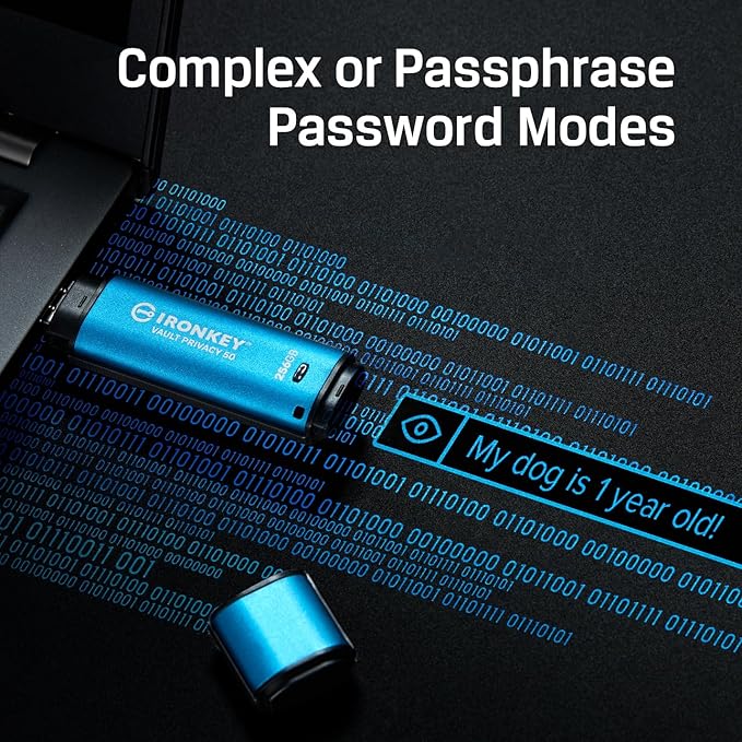 Kingston Ironkey Vault Privacy 50 USB-C 512GB Encrypted Flash Drive | FIPS 197 Certified | XTS-AES 256-bit | BadUSB and Brute Force Protection | Mult-Password Option | IKVP50C/512GB