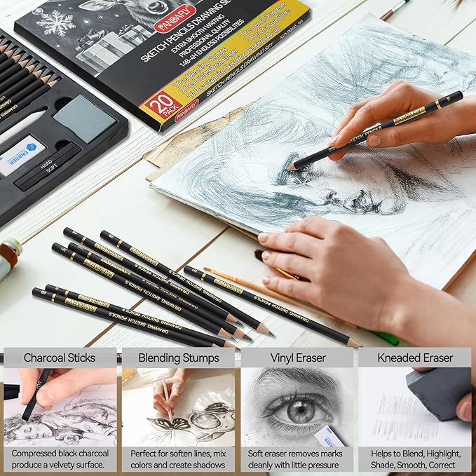PANDAFLY 20-Piece Professional Sketch Pencil Set - Includes 4H to 14B Graphite Pencils, Charcoal Sticks, Vinyl Eraser, Kneaded Eraser, Sharpener, Blending Stump - Ideal for Artists and Beginners