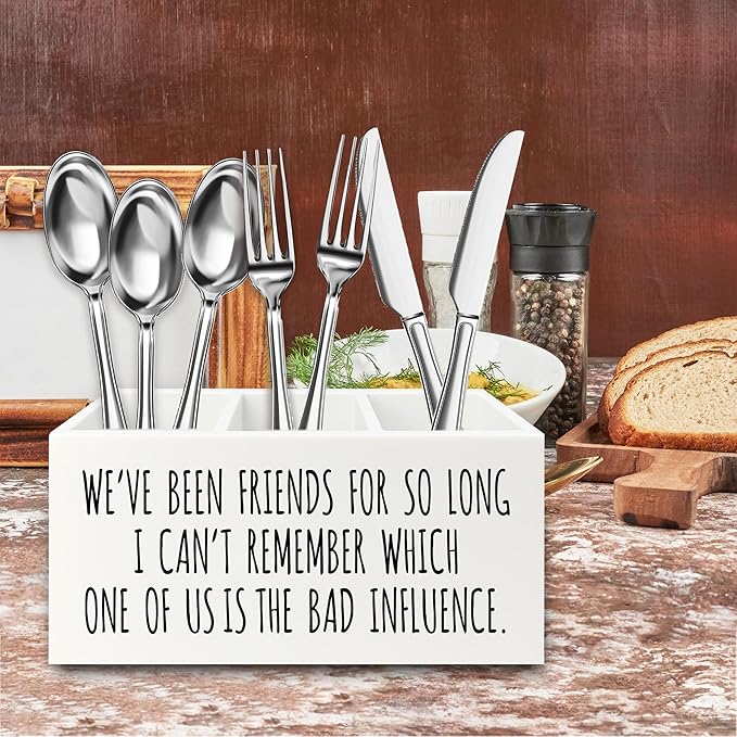 Funny Sarcastic Friendship Pen Pencil Holder Organizer for Desk, Humorous Gifts, We've Been Friends for So Long I Can't Remember Which Wooden Box Signs Decor for Home Office Desk Tabletop