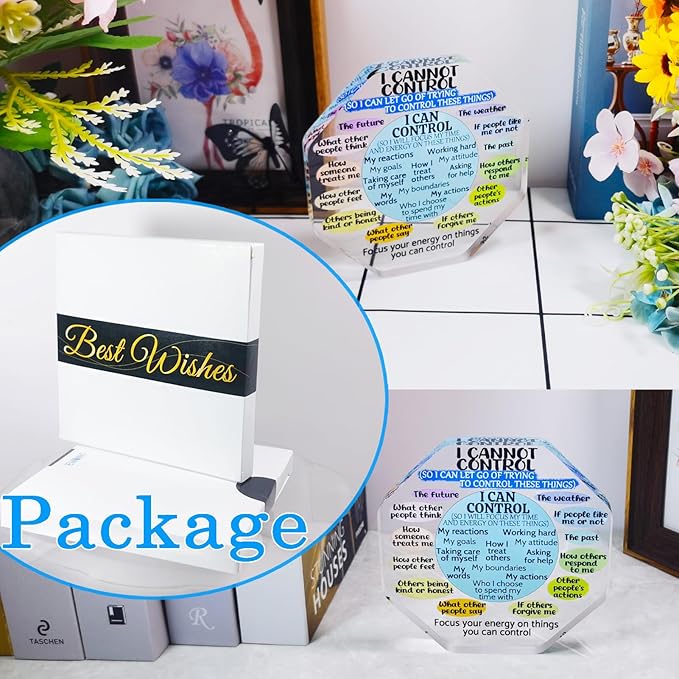 Ewong Things I Can Control Mental Health Decor, Acrylic Sign for Therapist Office, School Counselor, Psychologist Room Art Decoration, Therapy Desk Plaque for Bedroom Classroom (Octagon-Blue)